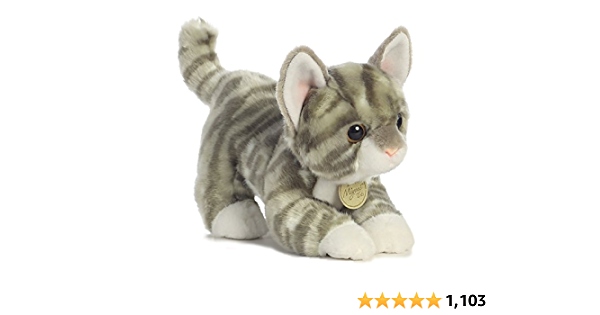 A grey tabby cat is worth about $600.