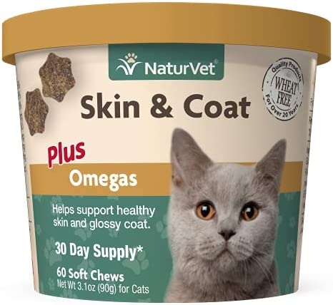 A healthy diet is important for cats since it helps them maintain a glossy coat.
