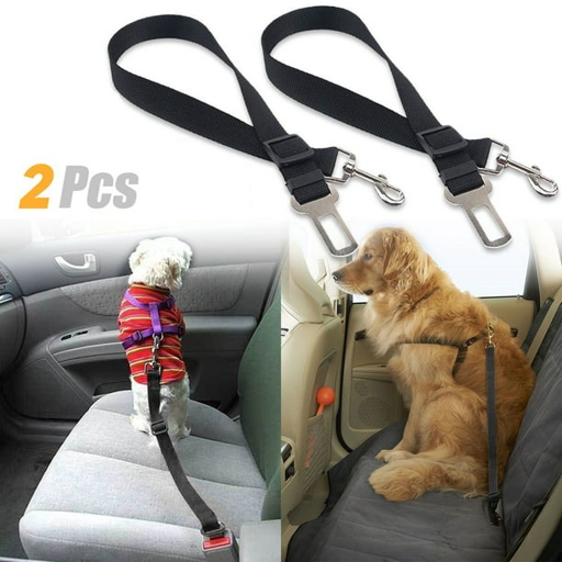 A seat belt harness is a device that helps keep your cat safe while traveling in a car.