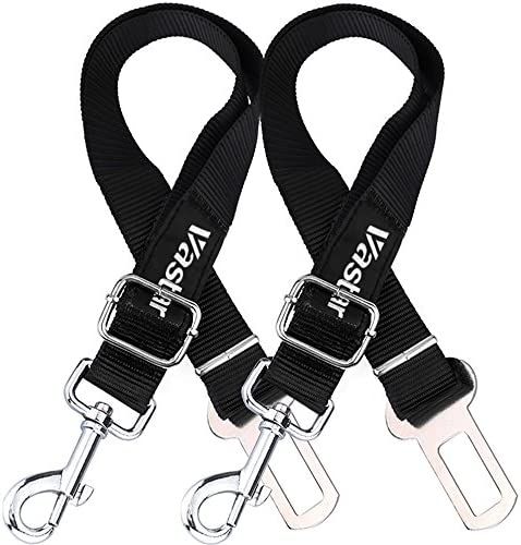 A seat belt harness is a device that is used to secure a cat in a baby carrier.