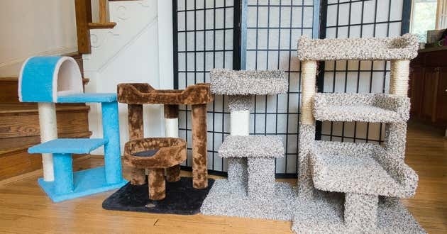 After you've considered all of the factors, you'll be able to decide on the best location for your cat tree.