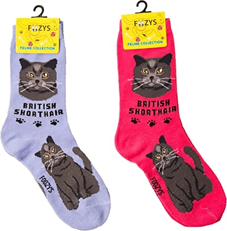 Cats are known for their love of socks, and many cat owners have found their feline friends bringing them socks as a gift.