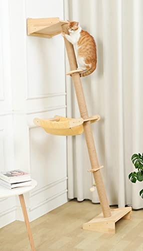 Cats are natural climbers, and love to be up high where they can survey their kingdom. A cat tree that is tall enough to allow your cat to perch at her highest point will be one of her favorite places in your home.