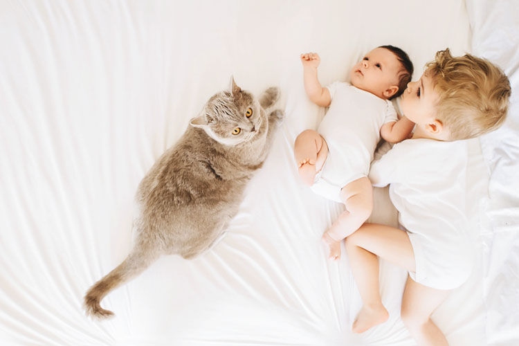 Cats are naturally curious creatures, so the best way to prepare your cat for your baby's arrival is to slowly introduce them to each other.