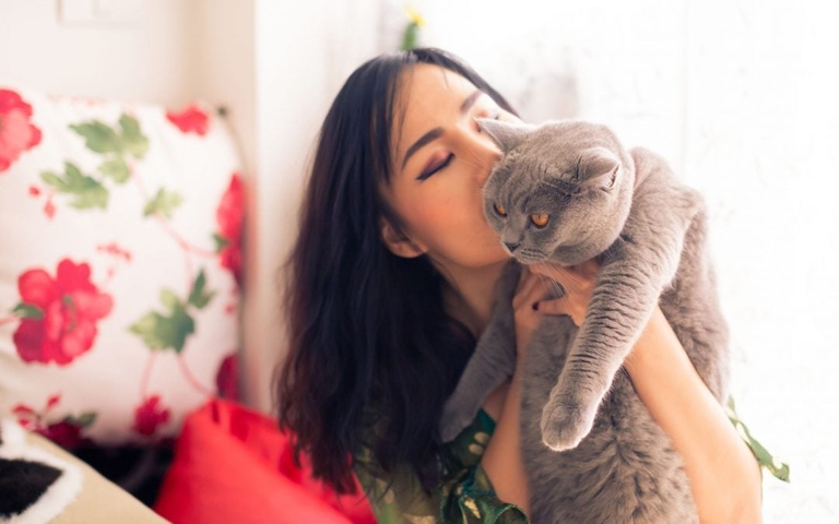 Cats are social creatures that need companionship, so they can feel loneliness when their humans leave them alone for extended periods of time.