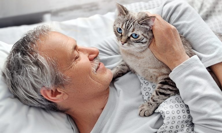 Cats can help with ADHD in humans by providing them with companionship and a sense of calm.