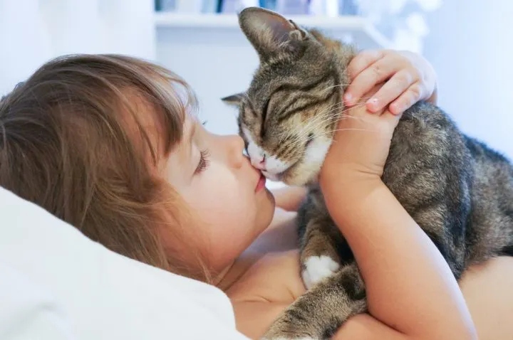 Cats may be jealous of babies because they receive a lot of attention from their owners.
