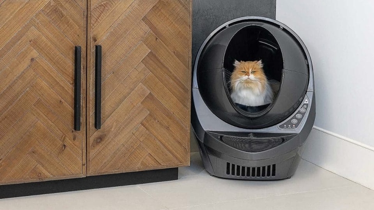 If you are considering a robotic litter box for your home, there are a few things you should keep in mind.