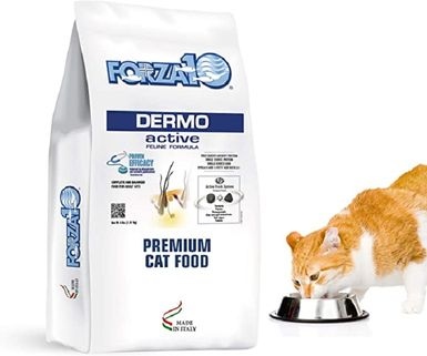 If you are looking for a dry cat food that will help with shedding, we have the 10 best options for you.