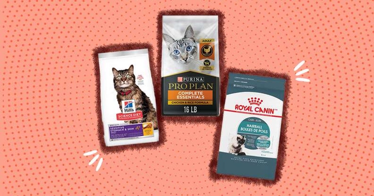 If you are looking for the best dry cat food for your adult feline, look no further than this list of 7 great options.