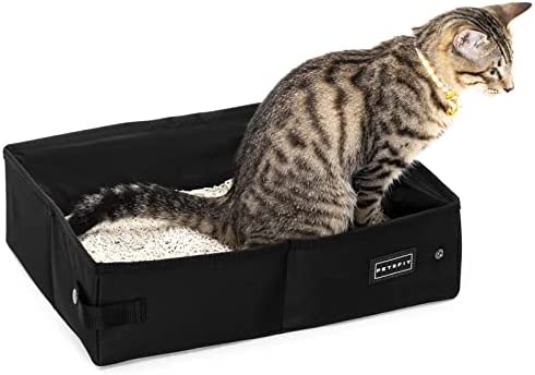 If you are planning to leave your cat in a carrier overnight, you should line the carrier with a disposable litter box and some absorbent bedding.