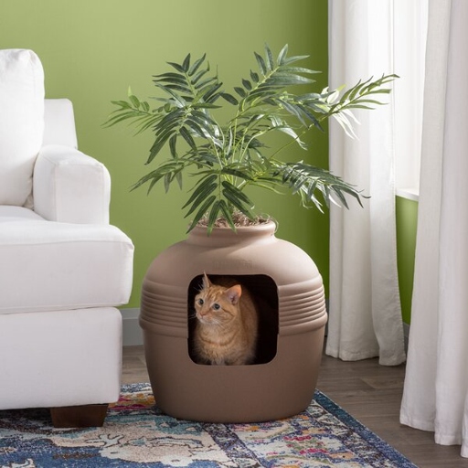If you have a cat that likes to jump, you can put the litter box on a high shelf to give them a little extra challenge.