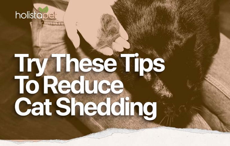 If you have a cat that sheds, you know how frustrating it can be to find the right food to help reduce the amount of shedding.