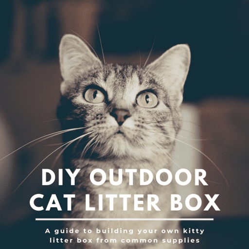 If you have an outdoor cat, you may be wondering if you should get a litter box for them.