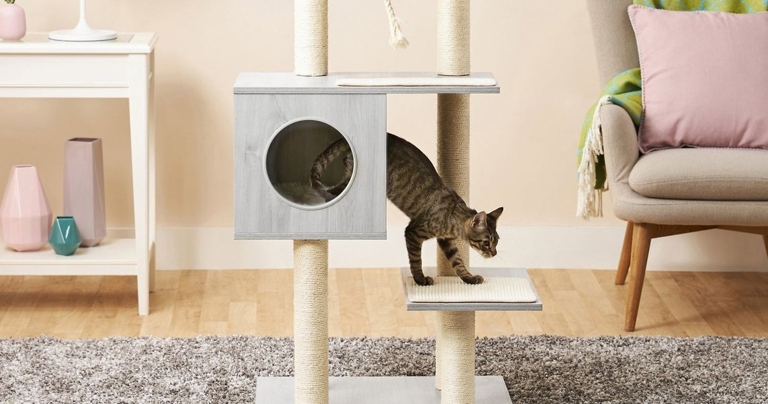 If you have more than one cat, you know how important it is to have a good cat tree.