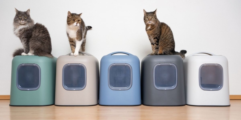 If you have more than one cat, you should have at least one litter box per cat, plus one extra.