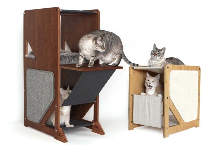 If you have multiple pets in your home, it's important to avoid conflict by placing your cat tree in a location where all of your pets can access it and feel comfortable.