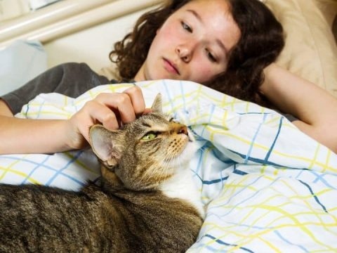 If your cat is suddenly laying on you more, it may be because they are trying to remove stressors from their life.