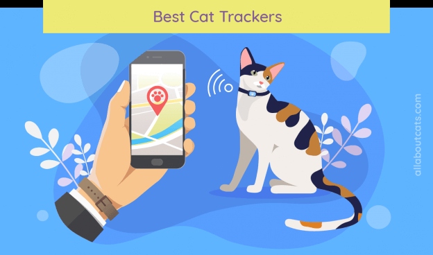 If your cat runs away from home, a GPS tracker or app can help you find them.