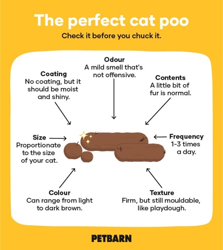 If your cat's poop smells bad, it could be a sign of a health problem.
