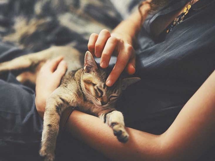 If you're allergic to your cat but don't want to give them up, you're not alone.
