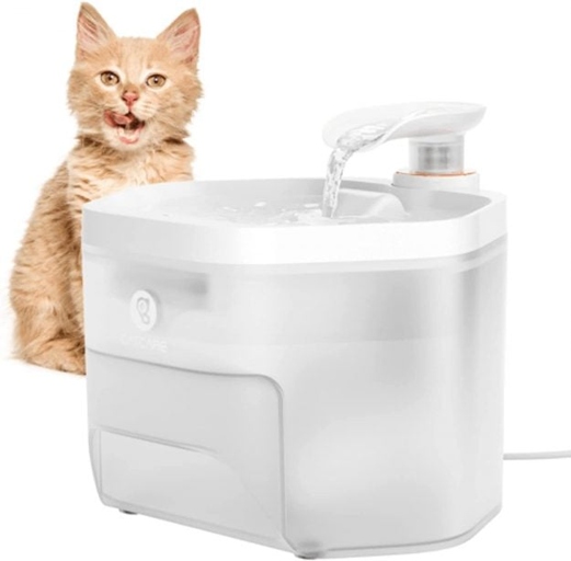 If you're considering getting a water fountain for your cat, there are a few things to keep in mind.