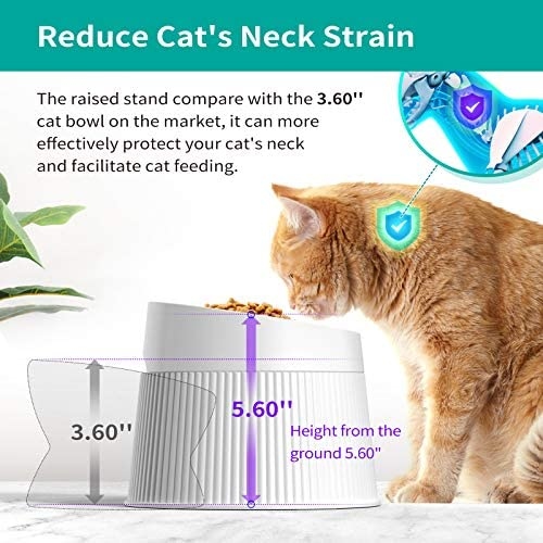 If you're looking for a cat-safe bowl that will help reduce whisker fatigue, you've come to the right place.