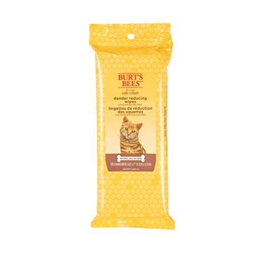 If you're looking for the best cleaning wipes for your cat, you'll want to avoid baby wipes.