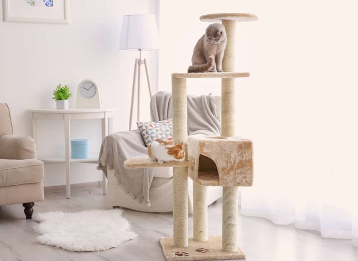 If you're looking for the best spot for your cat tree, the living room, dining room, or bedroom are all great options.