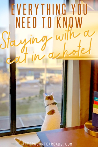 If you're planning a road trip with your cat, it's important to choose a pet-friendly hotel for your overnight stays.