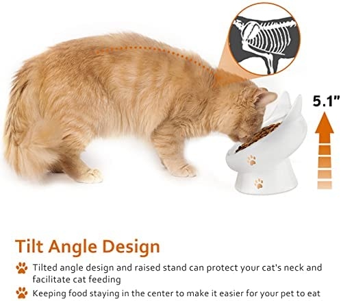 In order to ensure that your cat's water bowl won't tip over, you should look for a bowl that is specifically designed to be sturdy and stable.
