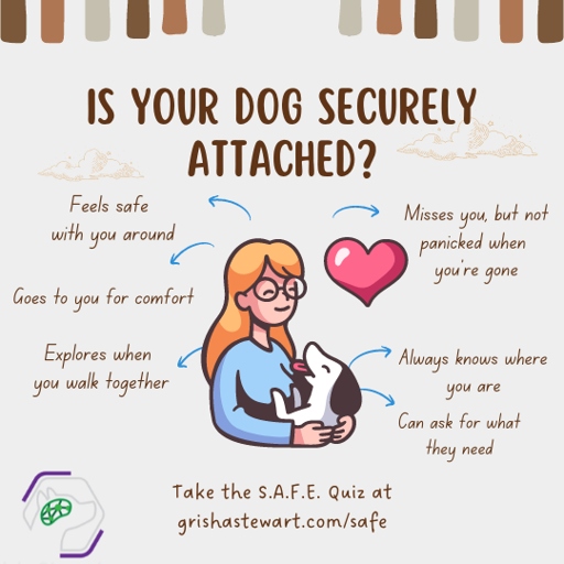 Insecure attachment is characterized by avoidance and fearfulness, while secure attachment is characterized by confidence and curiosity. There are two types of attachment styles in cats, secure and insecure.