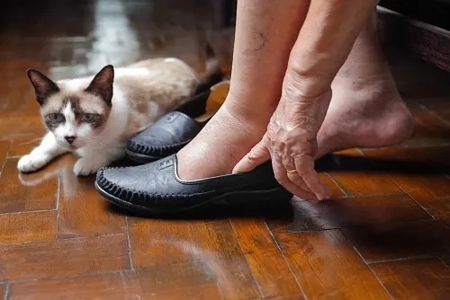 It is normal for cats to sit on your feet because they like the warmth and they feel comfortable and safe.