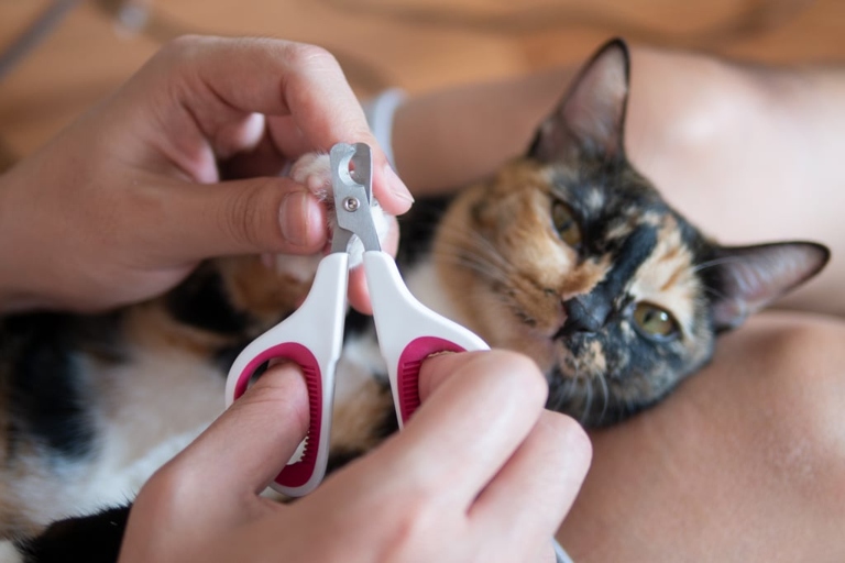 Less is usually more when it comes to trimming your cat's nails.