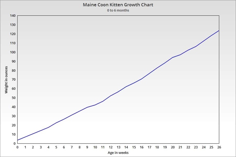 Maine Coon Growth Chart is a great way to keep track of your Maine Coon's growth.