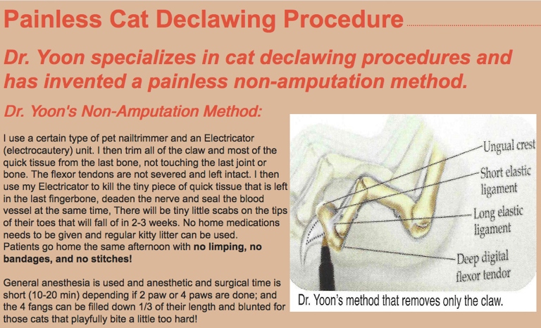 Nail trimming is a common and necessary grooming procedure for cats, while declaw surgery is a more drastic measure that involves removing the entire nail bed.
