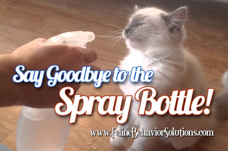 No, using a spray bottle on a cat is not cruel.