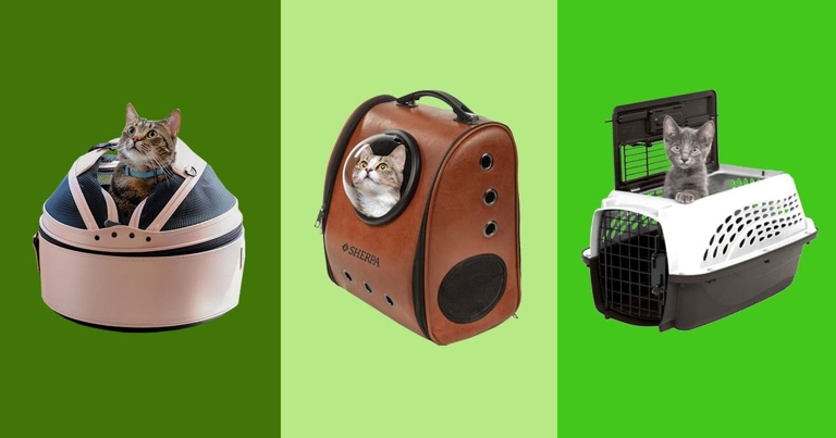 No, you don't need to worry about crash testing your cat carrier as long as you choose one of the eight best cat carriers for car travel.