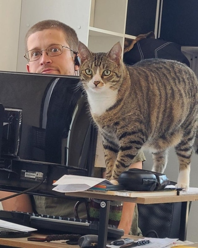 No, your cat cannot see computer screens.