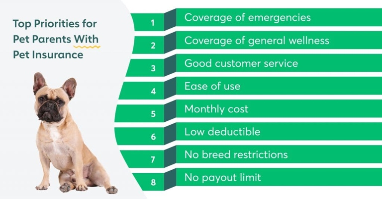 Pet insurance is a must for any pet owner.