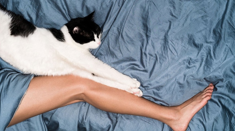 Sleeping with your cat can have many benefits, including reducing stress, improving sleep quality, and providing companionship.