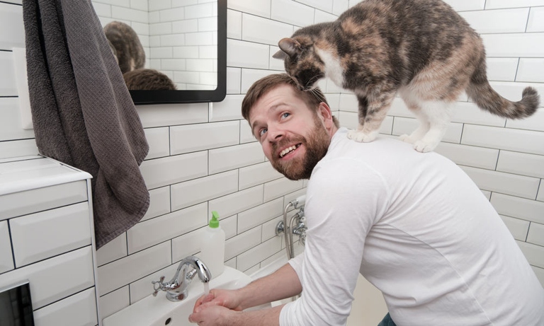 Some people believe that cats follow their owners to the bathroom because they enjoy the warm, humid environment.
