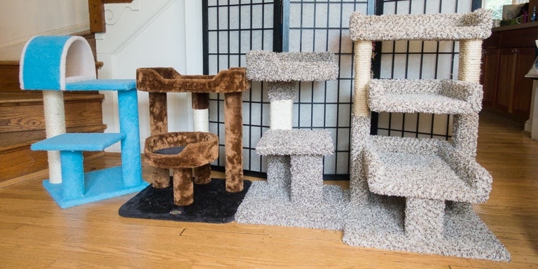 The average cat tree is between two and four feet wide.