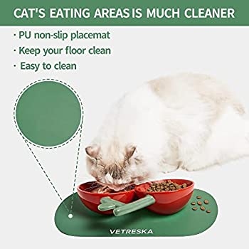The best cat water bowls are those that won't tip over, no matter how enthusiastic your cat is about drinking.