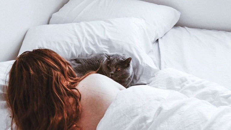 The disadvantages of sleeping with your cat are that they may steal your covers, hog the bed, and keep you up all night with their purring.