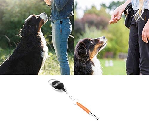 The dog whistle is a tool that has been used for centuries to train and control dogs.