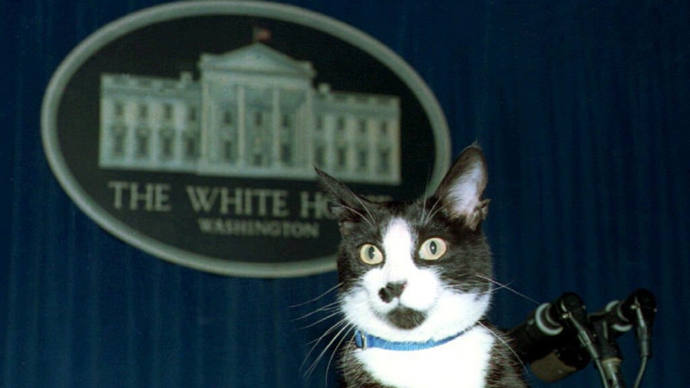 The Presidential Cat, Socks, was the star of his own video game.