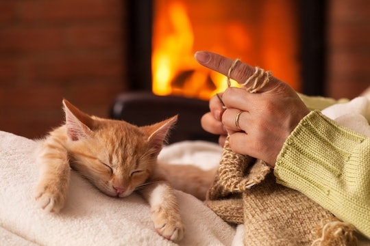 There are a few reasons why your cat may enjoy sleeping between your legs, including feeling secure and warm.