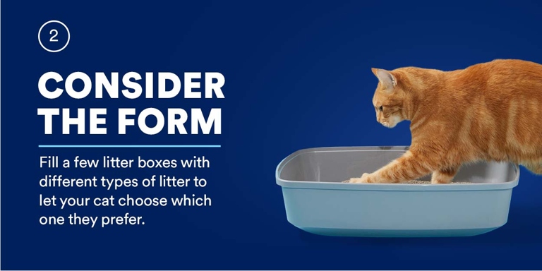 There are a variety of litters on the market, and finding the right one for your cat can be a trial and error process.