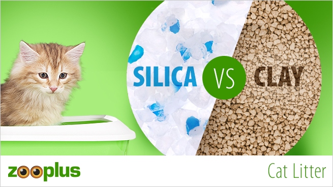 There are many types of cat litters on the market, but the three most common are clay, silica gel, and biodegradable.